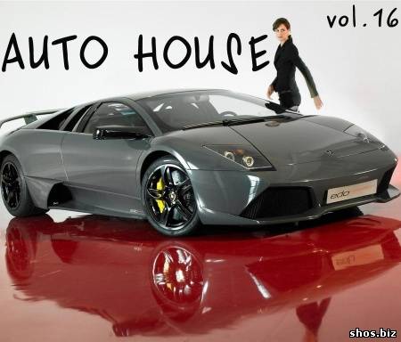 Auto House vol.16 (2010)