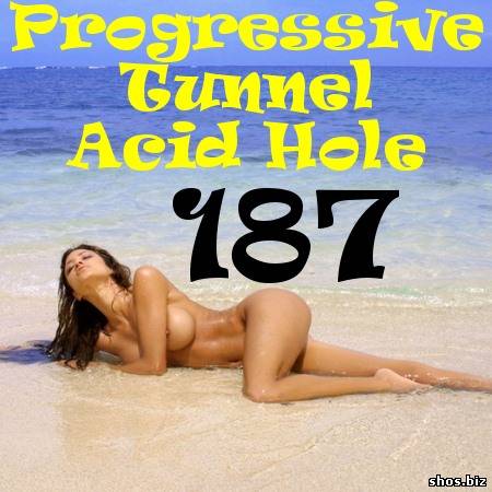 Progressive Tunnel - Acid Hole - 187 (2010)
