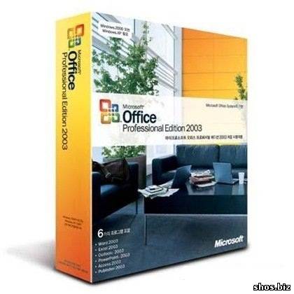 Microsoft Office 2003 SP3 (x32/x64/RUS/update 16.10.10) (Тихая установка)