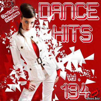 Dance Hits Vol. 134 (2010)