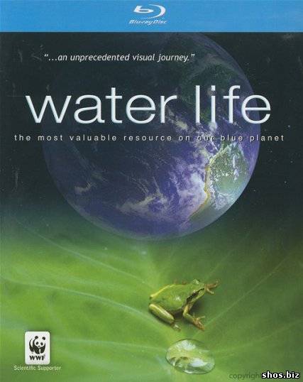 Водная жизнь / Water Life (2007/BDRip/720p)