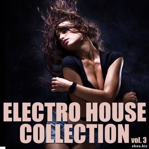 Electro House Collection Volume 3 (2010)