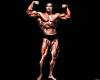 <b>Название: </b>Arnold Schwarzenegger <br>Размеры: 340.9 Кб, 1280x1024
